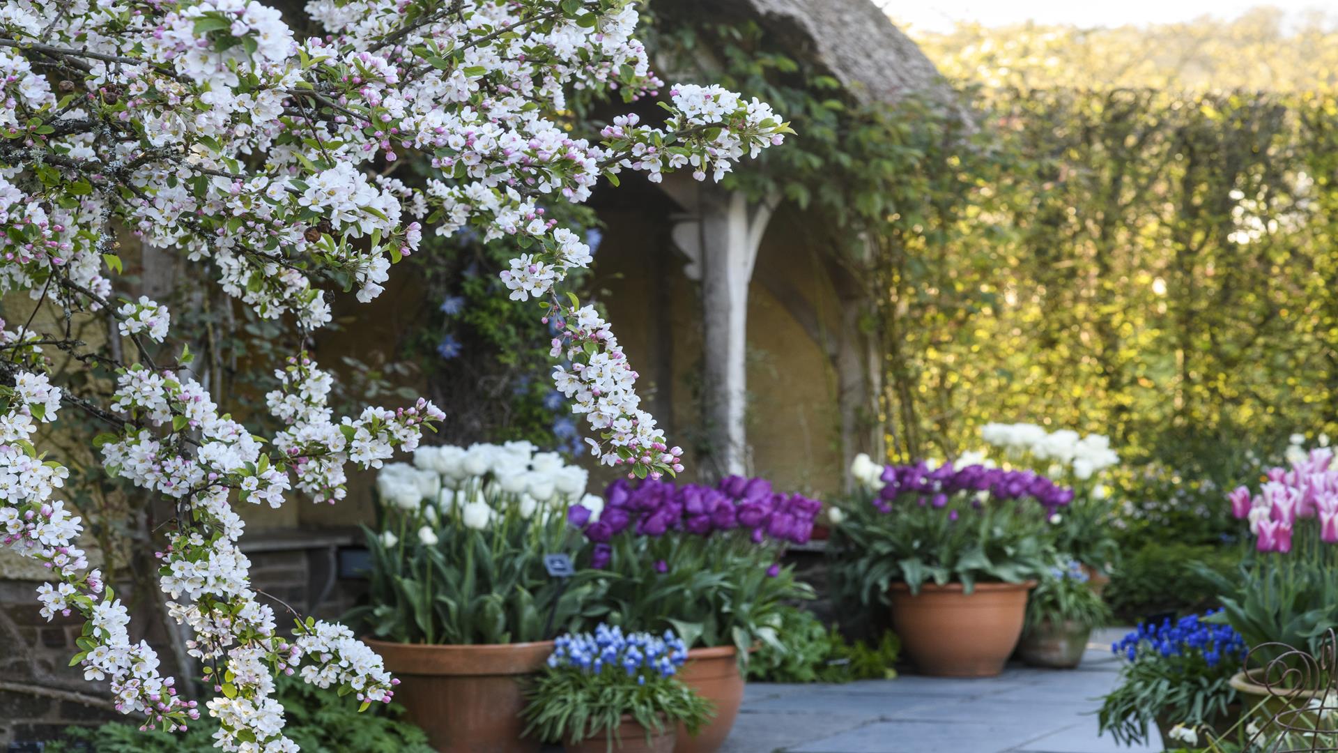 RHS Rosemoor Gardens